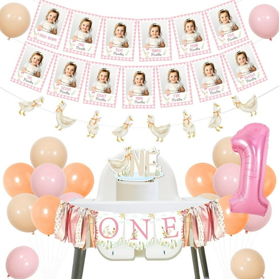 Goose 1st Birthday Decor A Little Silly Goose Is Turning One High Chair One Silly Goose Monthly Photo Banner Garland Cake Topper Pink Number 1 Foil Balloon for Girls First Birthday Party