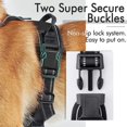 thumbnail image 3 of OUTAD Vest Nylon Chest Strap Small Dog Cat Halter Harness Lead For Large Dog And Cat Durable High Quality Nylon Pet Leash, 3 of 6