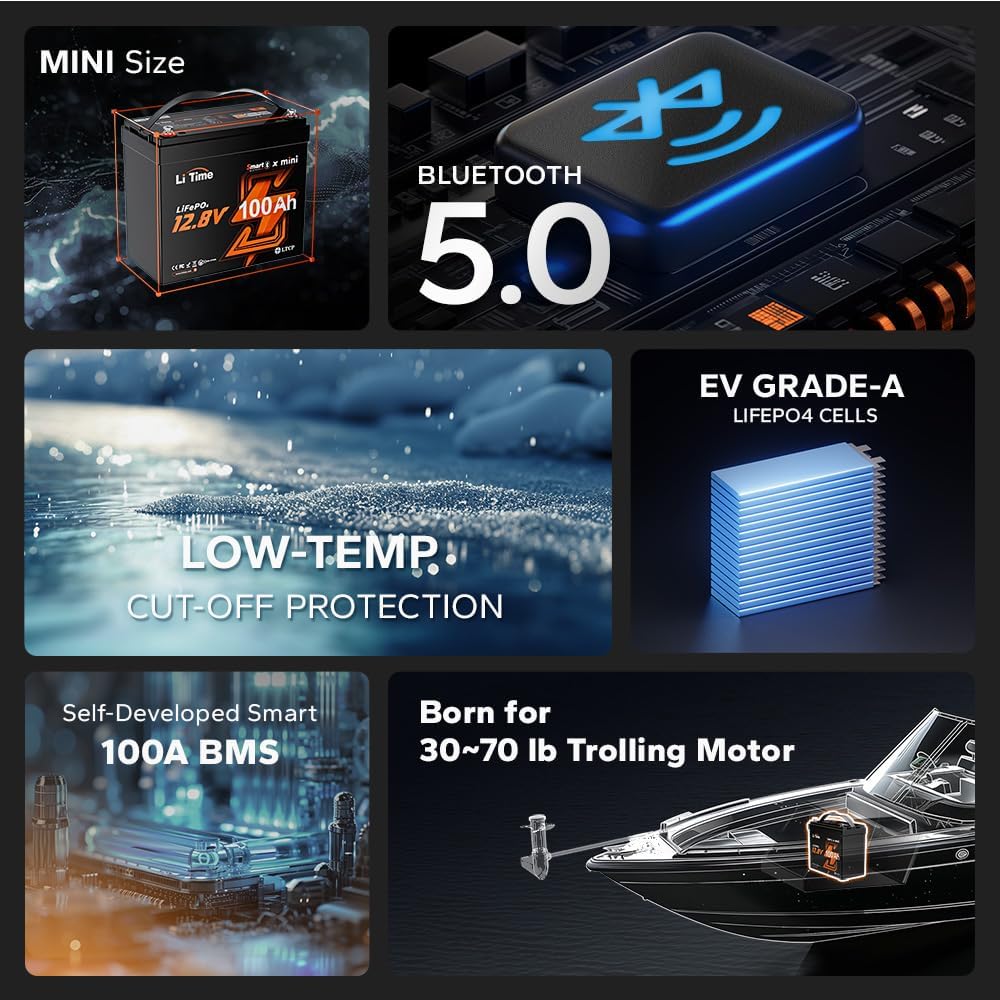 LiTime 12V 100Ah MINI LiFePO4 Battery 100A BMS Bluetooth Lithium Battery for RV Travel Trailers