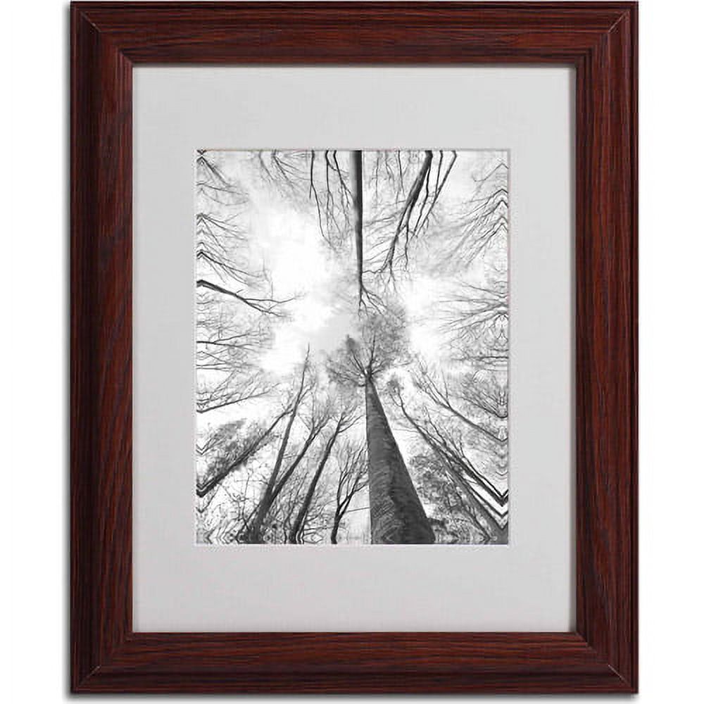 Trademark Fine Art "Recall the Days" Canvas Art by Philippe Sainte-Laudy, Wood Frame