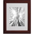 thumbnail image 2 of Trademark Fine Art "Recall the Days" Canvas Art by Philippe Sainte-Laudy, Wood Frame, 2 of 3