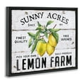 thumbnail image 4 of Stupell Industries Sunny Acres Lemon Farm Food & Beverage Painting Black Floater Framed Canvas Art Print Wall Art, 31 x 25, 4 of 10