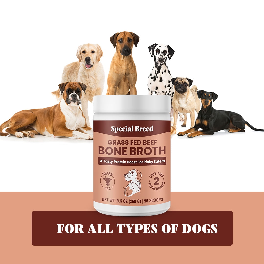 Bone Broth Powder for Dogs and Cats - Dog & Cat Food Topper for Picky Eaters - Grass Fed Beef Bone Broth Supplement - Supports Hydration, Joint, Immunity & Heart Health - Serve Dry or Wet - 9.5oz