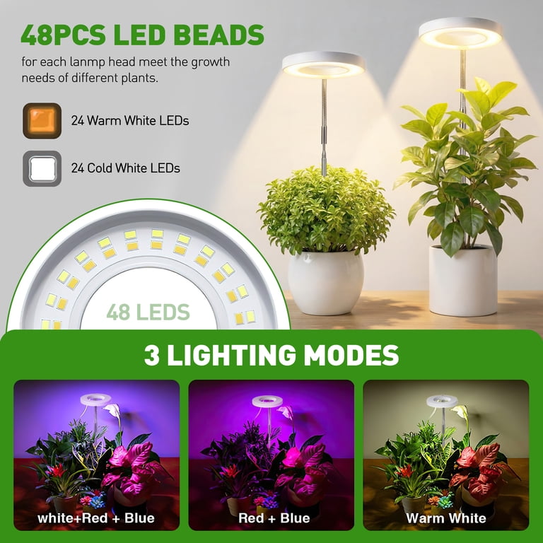 GPED Plant Grow Light, LED Growing Light for Indoor Plants, Full Spectrum  Desk Growth Lamp w/ Automatic Timer(3/9/12Hrs) & Height Adjustable, 10  Dimmable Brightness for Small Plants, 2 Packs, White - Walmart.com