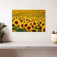 thumbnail image 2 of Elephant Stock Endless Sunflower Field Wall Art - Horizontal Canvas Wall Art - Living Room Wall Decor - Nature Canvas - Gold And Green Decor - 12" x 8", 2 of 8