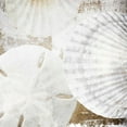thumbnail image 2 of Orlov, Irena 12x12 Black Ornate Wood Framed with Double Matting Museum Art Print Titled - White Shells II, 2 of 4