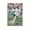 Unframe-style, variant on Sophia Smith Poster Canvas Poster Art Poster Canvas Painting Decor Wall Print Photo Gifts Home Modern Decorative Posters 24x36inch(60x90cm)