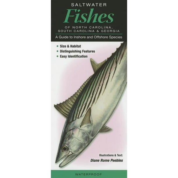 Saltwater Fishes of North Carolina, South Carolina &