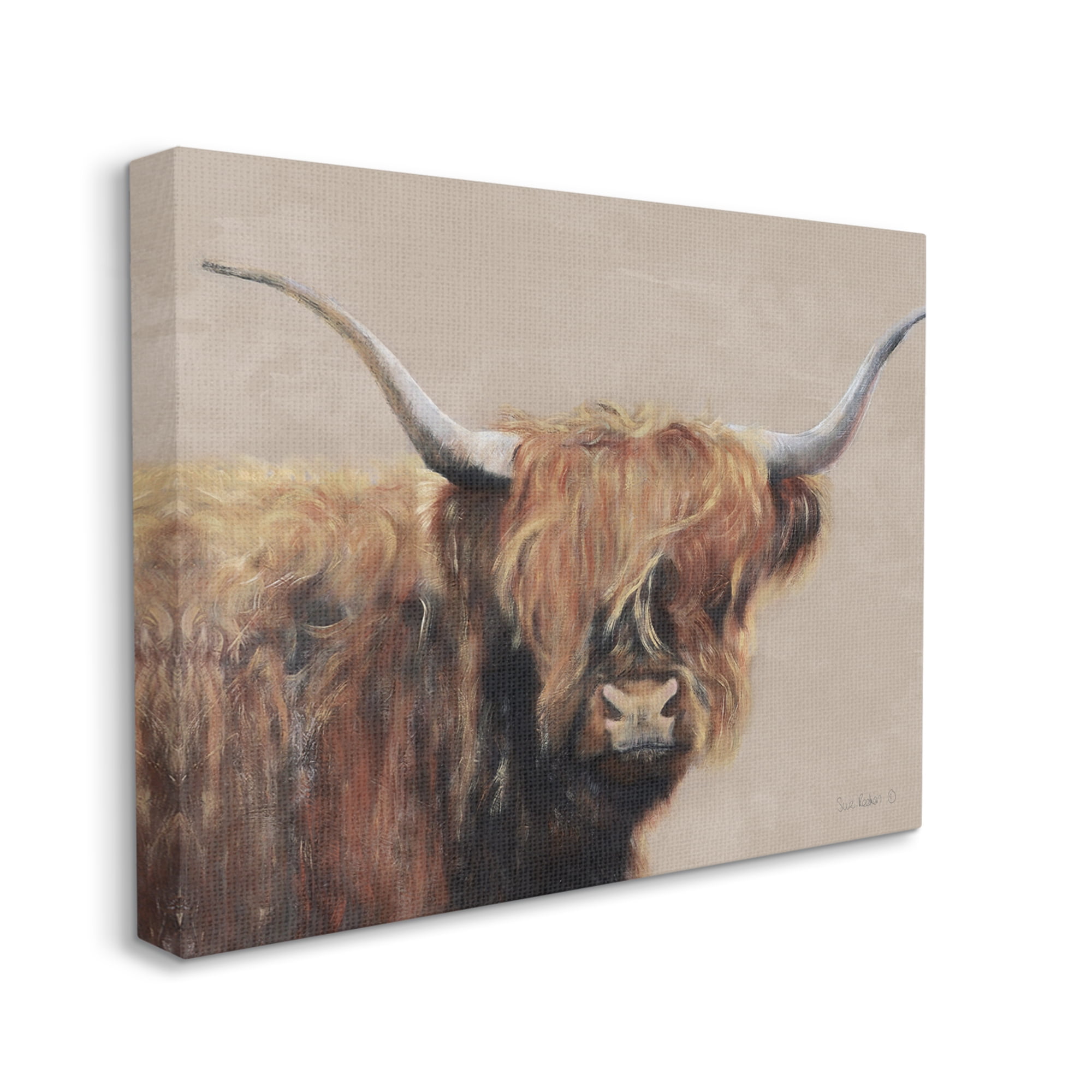 Stupell Industries Detailed Country Longhorn Highland Cattle Portrait, 48 x 36, Design by Suzi Redman