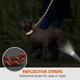 thumbnail image 4 of ZOUYUE Rope Dog Leash 5 FT with Comfortable Padded Handle, Highly Reflective Threads Dog Leash for Large/Medium Dogs, 1/2 inch, Multi-Color, 4 of 5
