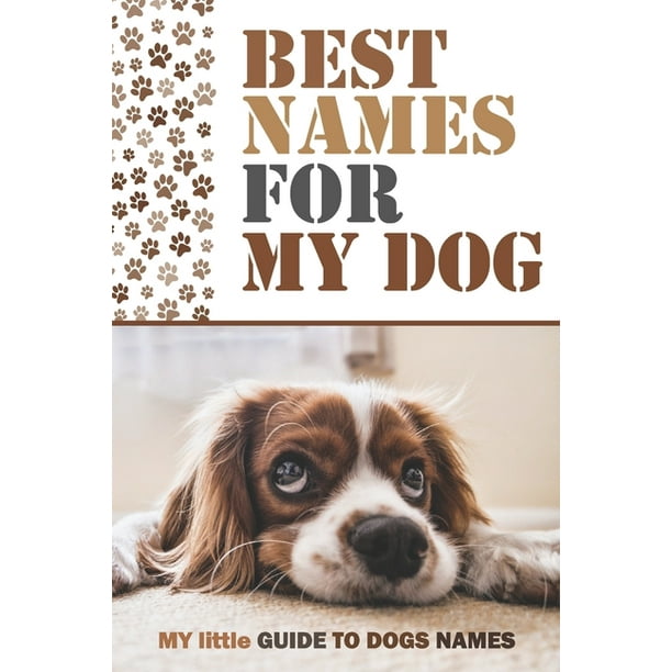 what are the best names for dogs
