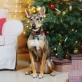 thumbnail image 4 of Collar para perro DOGWONG Christmas ajustable de algodón 25-41 cm, 4 of 5