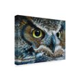thumbnail image 2 of Trademark Fine Art 'Dark Owl' Canvas Art by Carla Kurt, 2 of 3