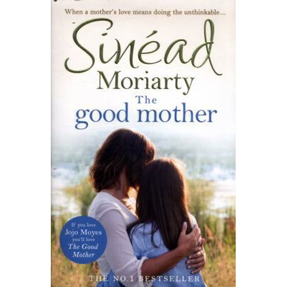 Pre-Owned The Good Mother (Paperback) 1844883515 9781844883516