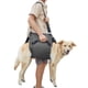 thumbnail image 1 of Arnés de soporte para perros Coodeo 2XL negro, 1 of 6