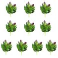 thumbnail image 1 of thinsony 10x artificial Succulents Small Vivid Useful Simulated Plants Multi-functional Lifelike Photo Props for Household Yards Lawn Flowerpot Type 6, 1 of 5