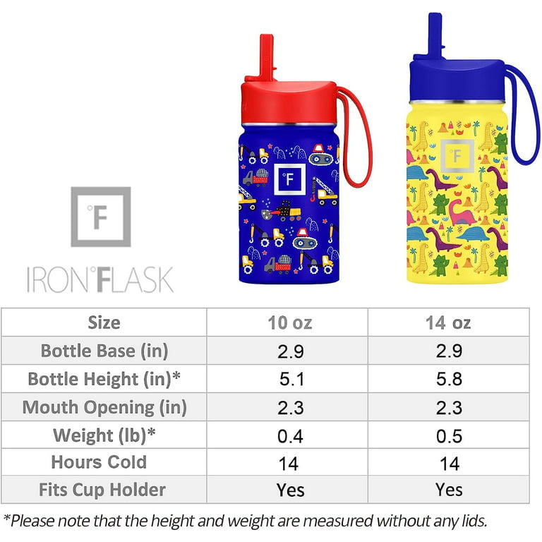 Iron Flask Leak Proof Kids Water Bottle - 14oz - Iron Shark, Blue