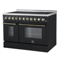 thumbnail image 5 of Forno Paolo 48 Inch Freestanding Electric Range in Black with Antique Brass, 6.7 cu.ft, True Convection Oven, Energy Efficient, 5 of 13