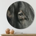thumbnail image 2 of Designart 'Close-Up Of Cow Eye' Farmhouse Circle Metal Wall Art 23x23 - Disc of 23, 2 of 5