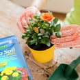 thumbnail image 2 of Schultz® Potting Soil Plus 9L, 2 of 4
