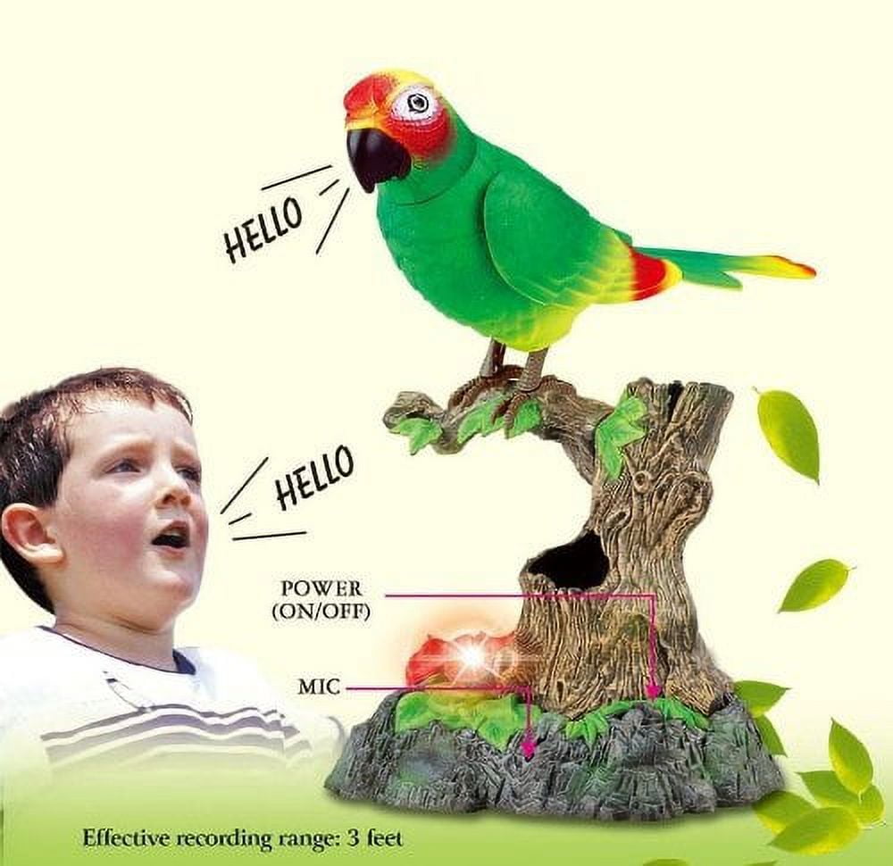 PlayWorld Music Magic Talking Parrot
