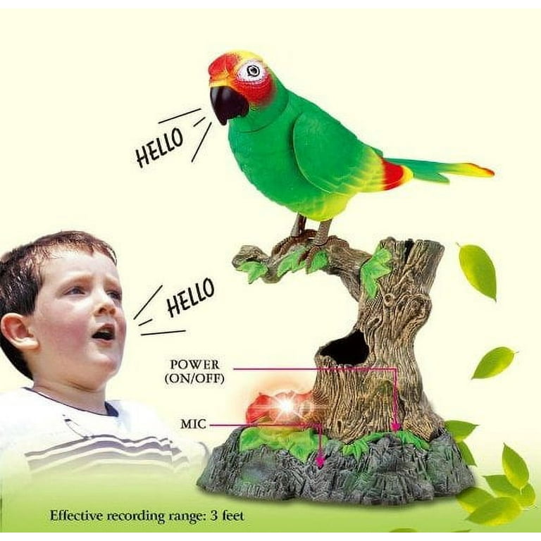 Music Magic Talking Parrot