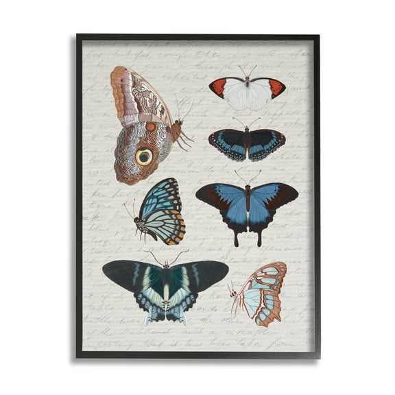 Stupell Industries Various Vintage Butterflies Animals & Insects Painting Black Framed Art Print Wall Art, 11 x 14