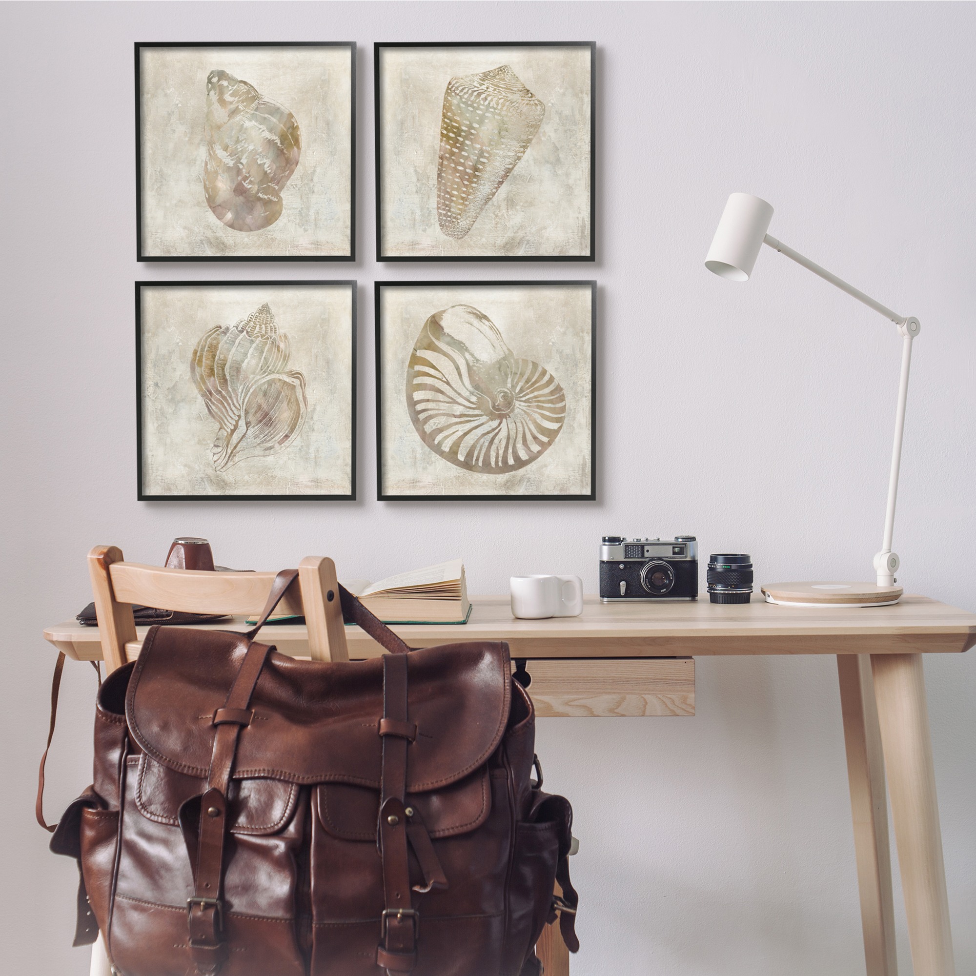 Stupell Industries Vintage Nautilus Seashells Soft Brown Patterned Aquatic Animals, 17 x 17, Design by ​Carol Robinson