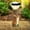 Yellow, variant on Solar Garden Lights with Motion Sensor, Waterproof Outdoor Solar Powered LED Landscape Lighting for Patio, Yard, Pathway, and Garden Decoration