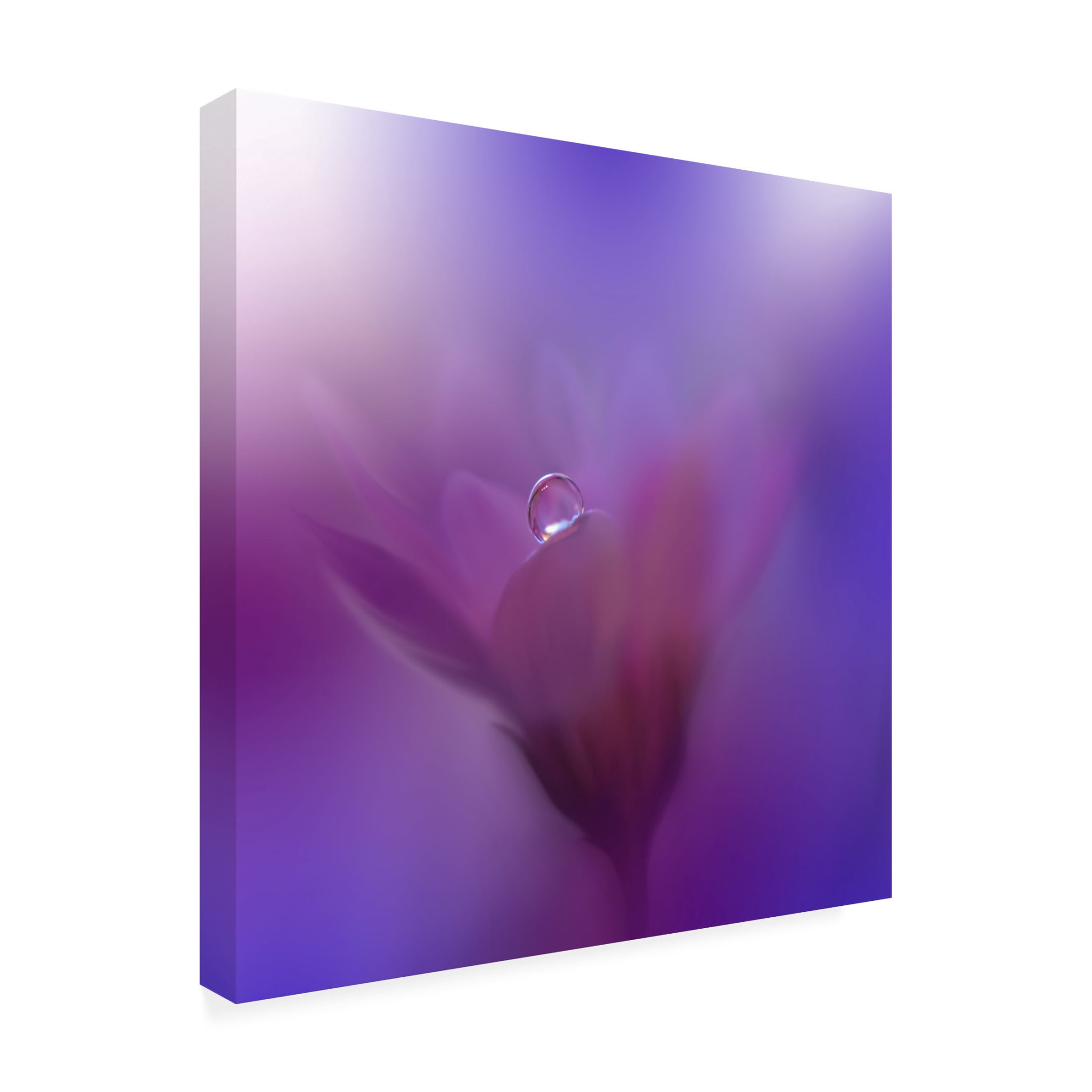 Trademark Fine Art Juliana Nan  Colors of Love III Canvas Wall Art