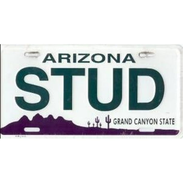 Plaque d'Immatriculation de l'Arizona Stud