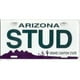 Plaque d'Immatriculation de l'Arizona Stud – image 1 sur 2