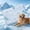 D-19.68x27.55in, variant on TFEOQRY Ultra Thin Portable Ice Silk Cooling Mat Non Slip Breathable Summer Pet Bed indoor outdoor