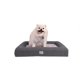 thumbnail image 1 of Cama Ortopédica pet2go Gris Oscuro con Funda Removible para Mascota Pequeña, 1 of 9