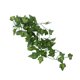 thumbnail image 4 of Planta de simulación de reptiles, paisajismo decorativo, enredadera falsa para caja de selva tropical de reptilesNFF‑87 Yamaha pequeña, 4 of 5