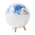 thumbnail image 2 of Meitianfacai Space Flower Humidifier Small Portable Color Mood Night Light Silent Two Speed Mist Humidification Skin Care Moisturizing Instrument Immortal Flower Timed Vaporisateur, Blue, 2 of 8