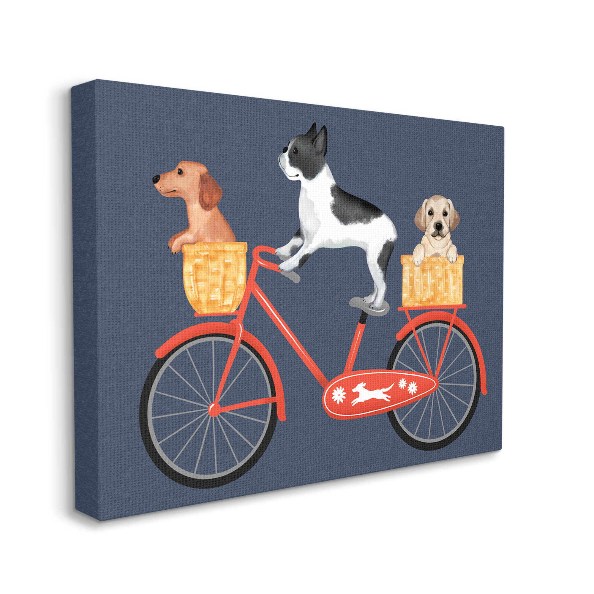Stupell Industries Dog Bicycle Trio Puppy Baskets Red Bike, 40 x 30,Design by Jo Taylor