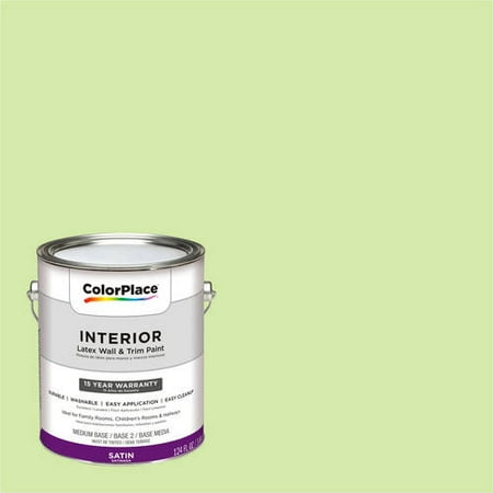 Colorplace Interior Paint Seamist Green 10gy 74 325