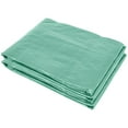 thumbnail image 2 of Outdoor Lighting Outsunny 9.8' x 6.6' x 6.6' Plastic Greenhouse Cover Replacement, Heavy Duty Waterproof Tarp for Hoop House, Sheeting with 6 Windows, Door & Reinforcement Grid, Green,Outdoor String, 2 of 5
