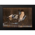 thumbnail image 2 of Jiang, Mary 14x11 Black Modern Framed Museum Art Print Titled - Taking Off At Sunrise, 2 of 5
