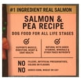 Pure Balance Wild & Free Salmon & Pea Recipe Dry Dog Food, GrainFree