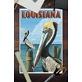 thumbnail image 3 of Louisiana, Brown Pelicans (12x18 Wall Art Poster, Room Decor), 3 of 3