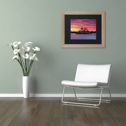 Trademark Fine Art "Rock Ablaze" Canvas Art by Michael Blanchette Photography Black Matte, Birch Frame