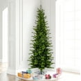 thumbnail image 5 of Vickerman 5.5' x 32" Moutauk Pine Artificial Christmas Pencil Tree, Warm White Dura-lit LED Lights, 5 of 5