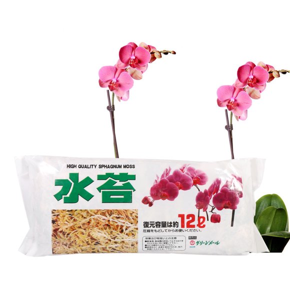 Potting Moss Orchid Moss, Sphagnum Moss, Water Moss, Contains Rich Organic Matter Orchid Potting Mix for Outdoor Plants for Indoor Plants