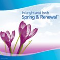 thumbnail image 2 of (2 pack) (2 pack) Febreze FABRIC Refresher, Spring & Renewal, 2 Count, 27 oz, 2 of 9