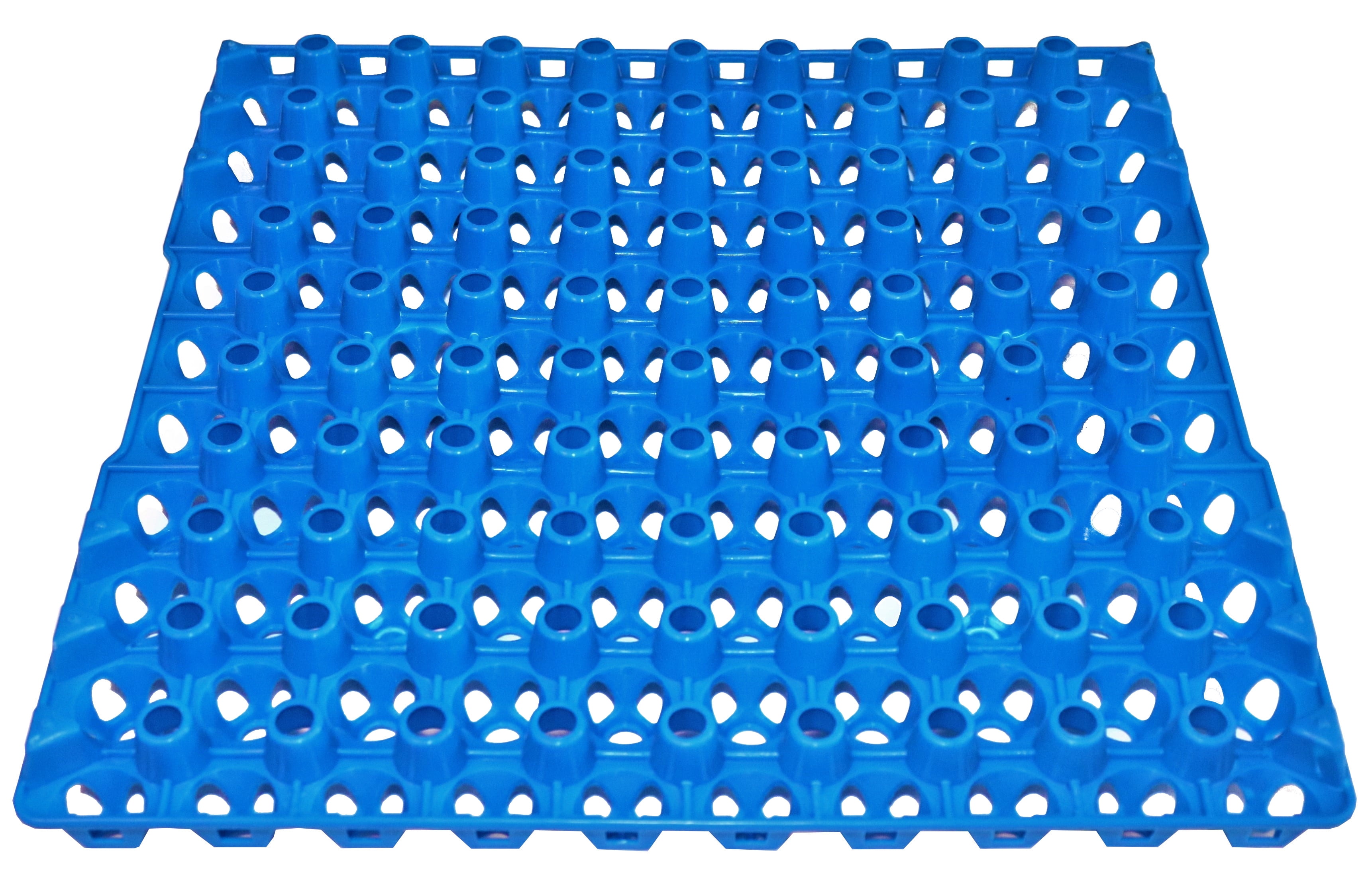 48 RITE FARM PRODUCTS 90 EGG PLASTIC TRAYS QUAIL PIGEON DOVE BIRD FLAT CARTON