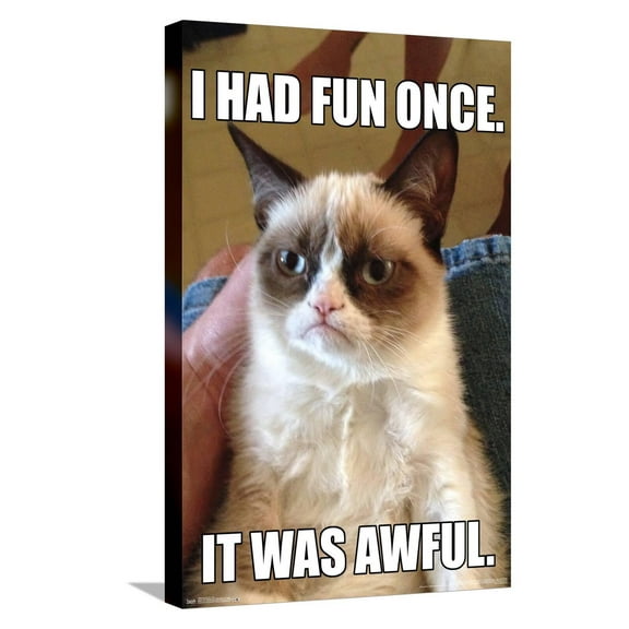 Grumpy Cat - Fun Canvas Wall Poster, 14.725" x 22.375"