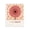 Gerber Daisy I Am Smart, variant on Stupell Industries Cottage Rose I Am Confident Affirmation Black Framed Print Under Glass, 13 x 16, by Courtney Haley
