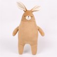 thumbnail image 4 of PHENAS Plush Bunny Stuffed Animal Toy Super Soft Easter Rabbit Plush Toy for Girls and Boys Easter Birthday Gift, 4 of 6